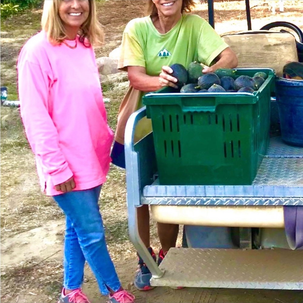 🌻 Posh Ambassador 🌻 - Picture 5 of 13